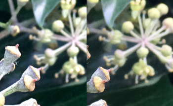 Screen Shot 2016-12-04 at 00.17.48.png