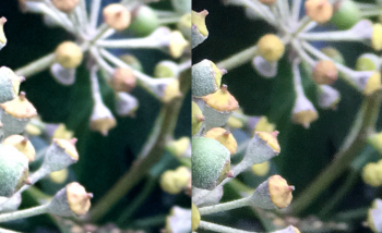 Screen Shot 2016-12-04 at 00.18.18.png