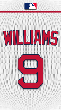Boston Red Sox Williams.png