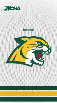 Northern Michigan University Wildcats home 02.png