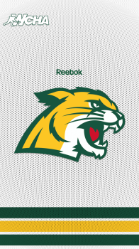 Northern Michigan University Wildcats home 03.png