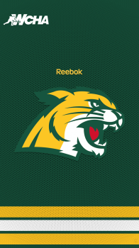 Northern Michigan University Wildcats road 03.png
