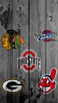 5 sports logos 04.png