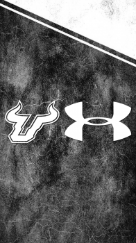 South Florida Bulls 04.png