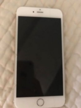 14516376_10154278917542034_5514791634417263733_n.jpg