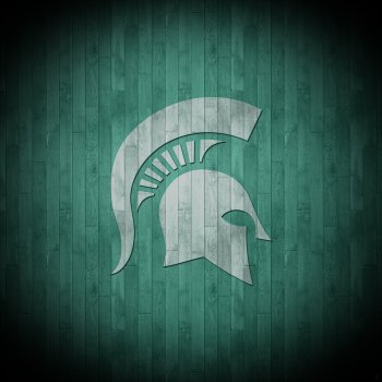 Michigan State Spartans 2048.jpg