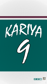 Anaheim Might Ducks 02.png