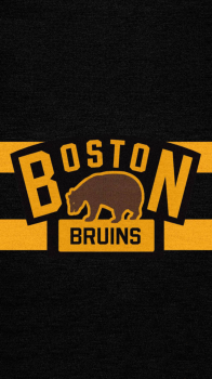 Boston Bruins 08.png