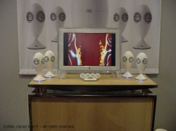 l35.jpg