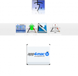 Picture 1.png