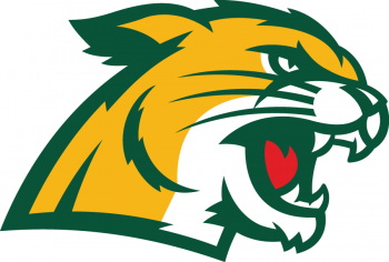 2785_northern_michigan_wildcats_-secondary-2016.png