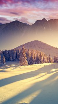 sunset_winter_shadows-wallpaper-1920x1200-2.jpg