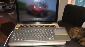 image.jpeg