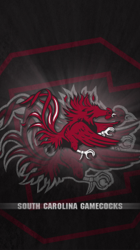 South Carolina Gamecocks.png