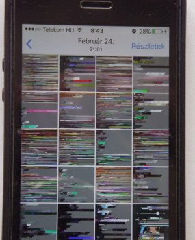 DSCF3621.JPG