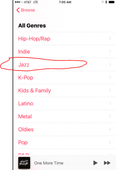 jaz.PNG