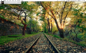 Screen Shot 2017-04-01 at 8.18.32 PM.png