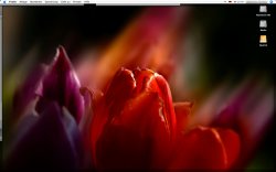 Desktop.jpg