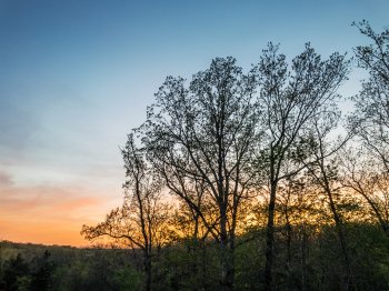 IMG_3113.JPG