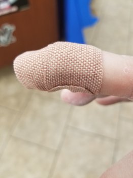 20170423_221858.jpg