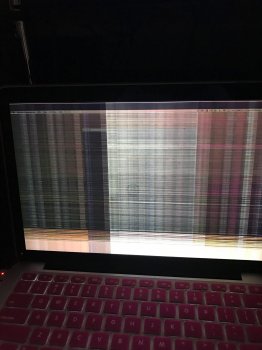 image.jpeg