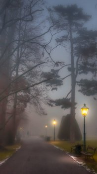 86086876.jpg