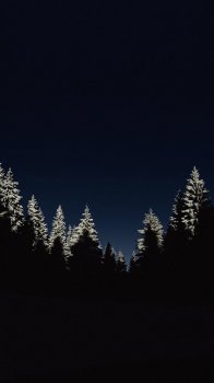 IMG_4278.JPG
