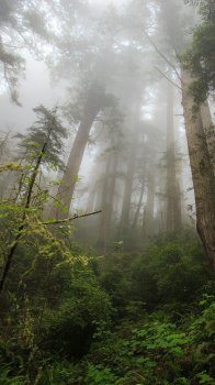 IMG_6653.JPG
