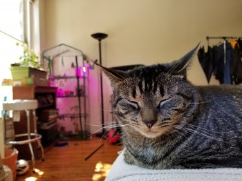 20170515_155126.jpg
