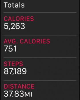 workout.png