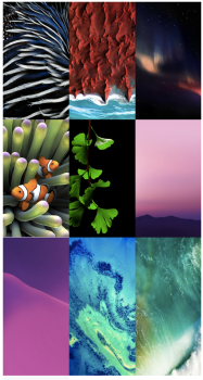 Screen Shot 2017-06-02 at 11.18.14 AM.png