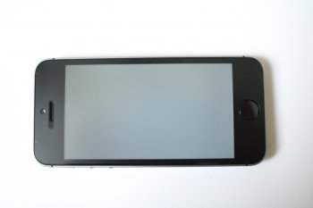 IMG_1784.JPG