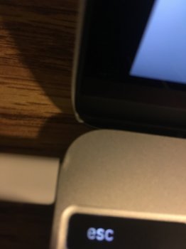 IMG_2915.JPG.jpeg