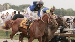 horse_ap_curlin_412.jpg