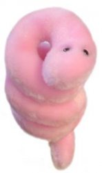 pox.jpg