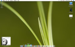 desktop.jpg