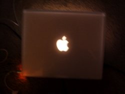 P4100048.jpg