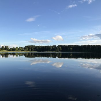 IMG_2487.JPG