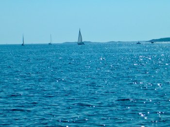 DSCN0624.JPG
