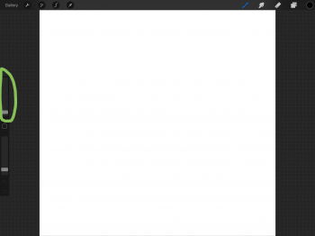Procreate blank canvas.png