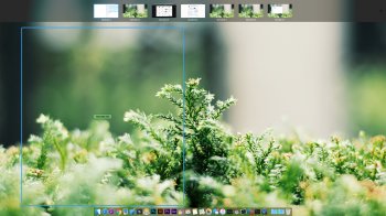finder_bug.jpg