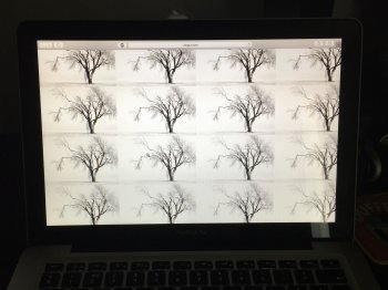 FullSizeRender.jpg
