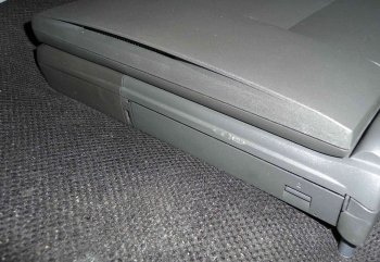 My-Kanga04.jpg