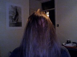 hairy1.jpg