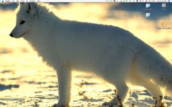 desktop background.jpg