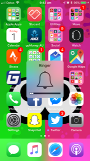 IMG_3616.PNG