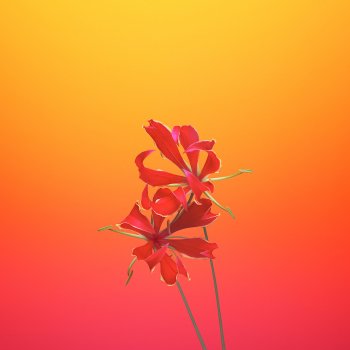 ios_11_gm_wallpaper_flower_gloriosa.jpg