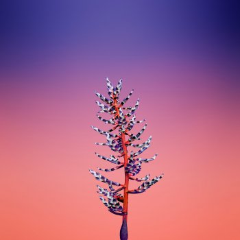ios_11_gm_wallpaper_flower_aechmea.jpg