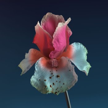 1400x1400-1.jpg