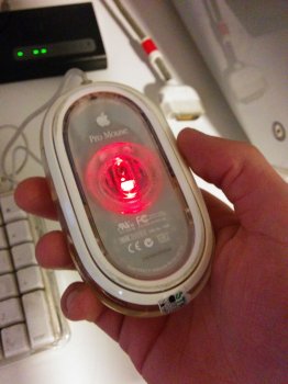 IMG-20170904-WA0016.jpeg